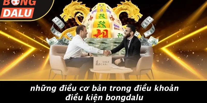 Những Điểm Quan Trọng Trong Điều Khoản Điều Kiện Của BONGDALU
