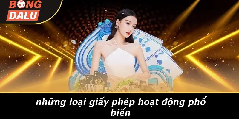 Những Loại Giấy Phép Hoạt Động Phổ Biến