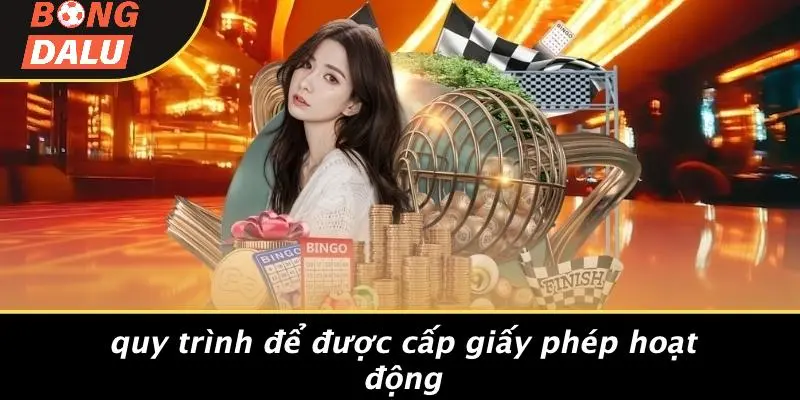 Quy Trình Để Được Cấp Giấy Phép Hoạt Động