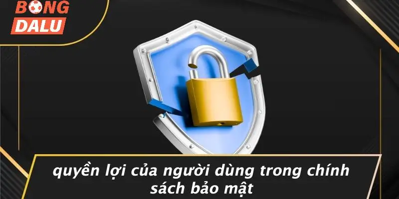 Quyền Lợi Của Người Dùng Trong Chính Sách Bảo Mật