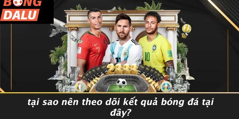 Tại Sao BONGDALU Là Lựa Chọn Hàng Đầu?