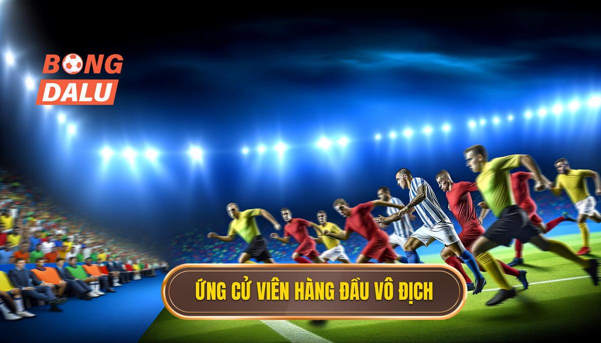  Các ứng cử viên hàng đầu cho ngôi vô địch
