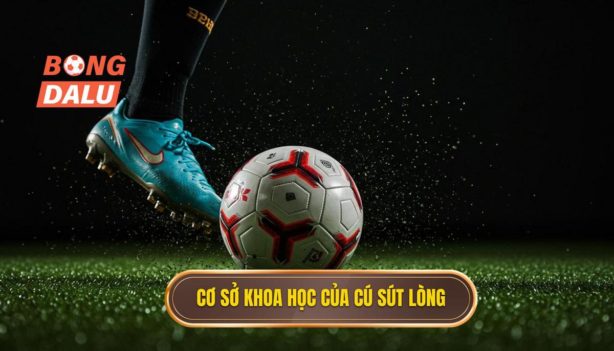 Phần 1_ Nền Tảng Khoa Học Của Cú Sút Lòng Bàn Chân