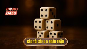 Kèo tài xỉu 5.5 toàn trận