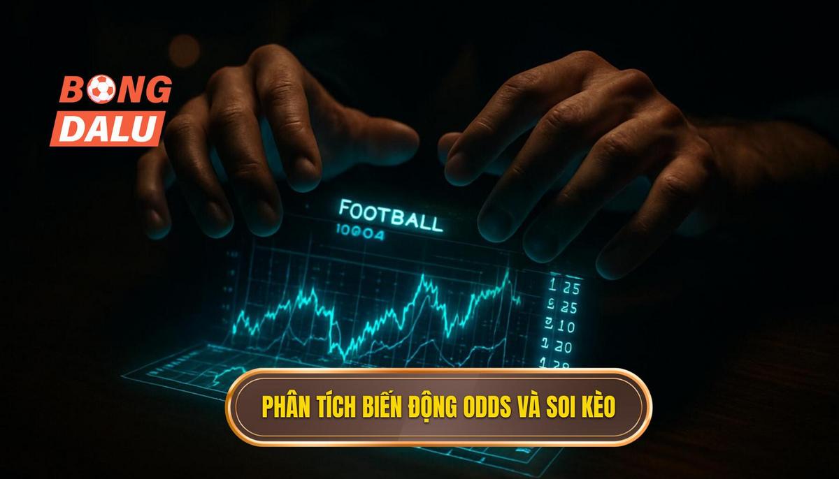 Phân tích biến động Odds và kỹ thuật soi kèo thực chiến