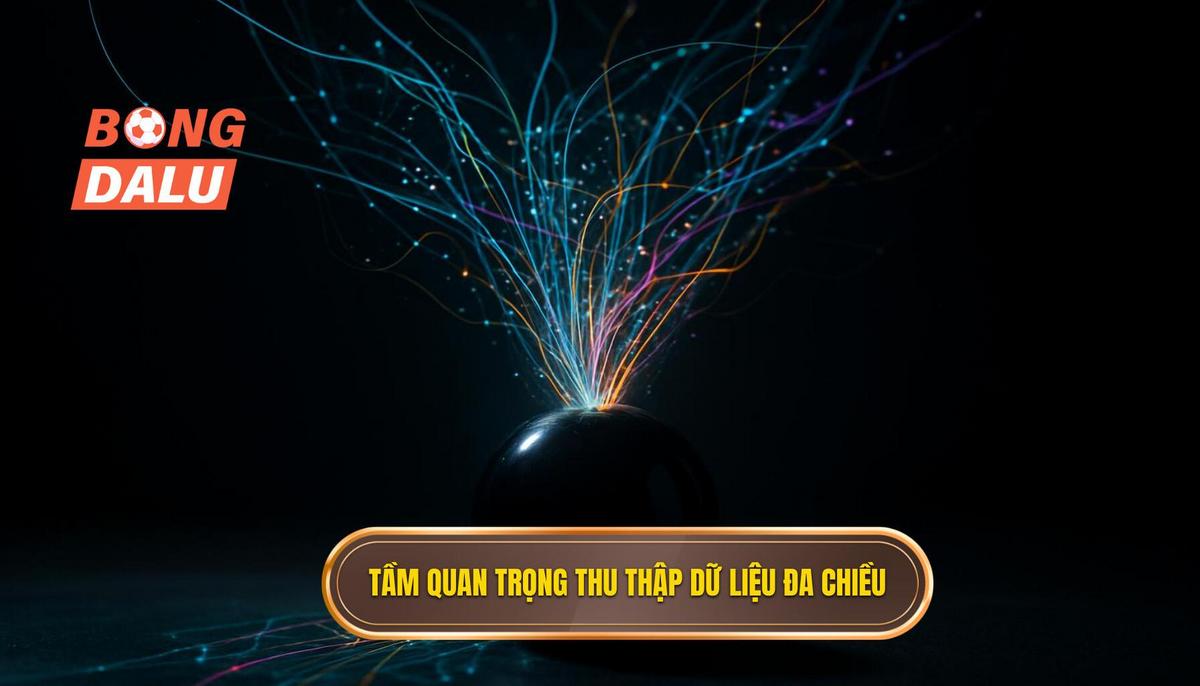 Tầm quan trọng của việc thu thập dữ liệu đa chiều