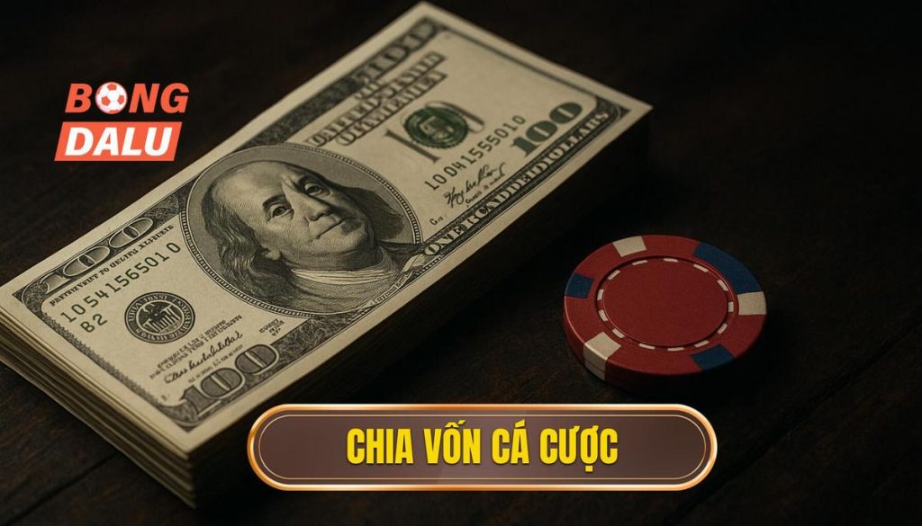 thumb - chia vốn cá cược