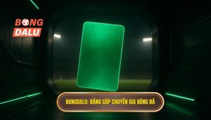 BONGDALU_ Đẳng cấp chuyên gia bóng đá