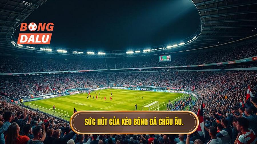 2. Sức hút của kèo bóng đá Châu Âu.