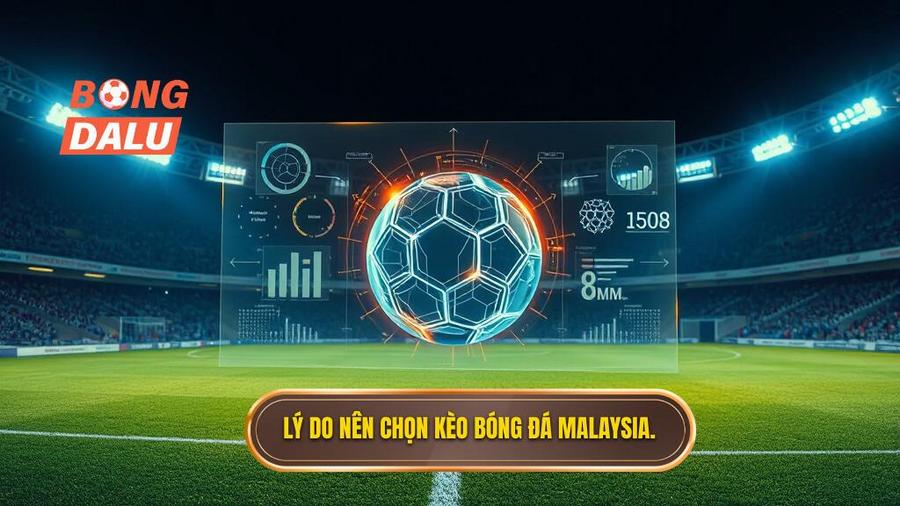 3. Lý do nên chọn kèo bóng đá Malaysia.